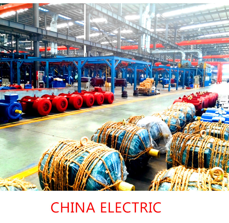 Y/Y2/Ye2/Ye3 Asychronous Three Phase Induction Motor