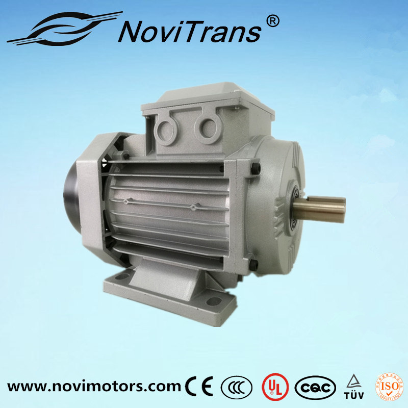 Permanent-Magnet Synchronous Motor 550W in AC