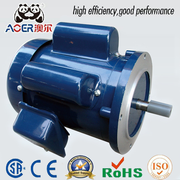 Finely Processed Reasonable Price Superb Single Phase Induction Motor