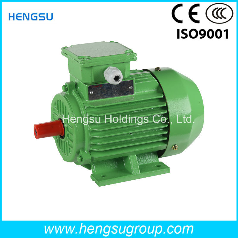 380V-660V Ie2/ Ye2/Y2 AC Three Phase Electric Motor with CE