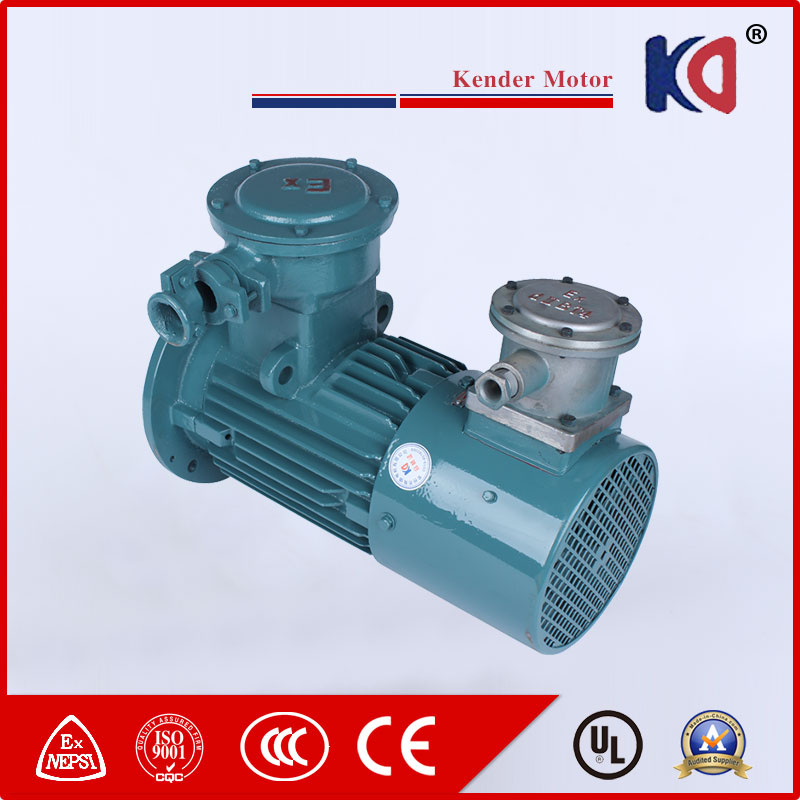AC Electric Motor with Frequency Conversion Speed Regulating