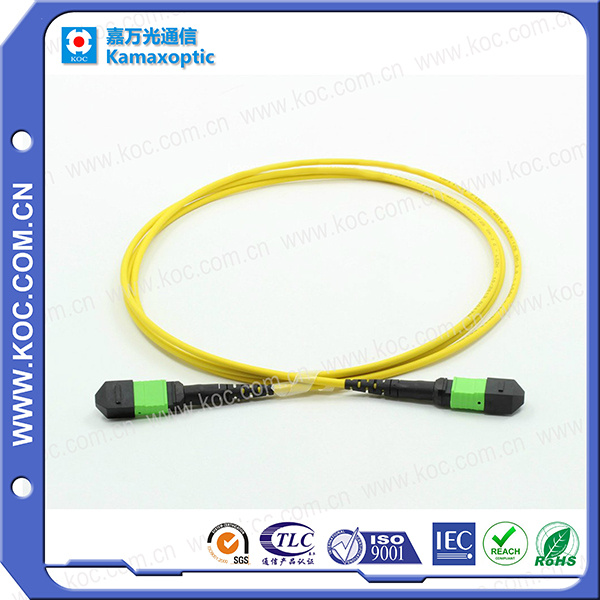 MPO/MTP APC 12cores Fiber Optic Patch-Cord