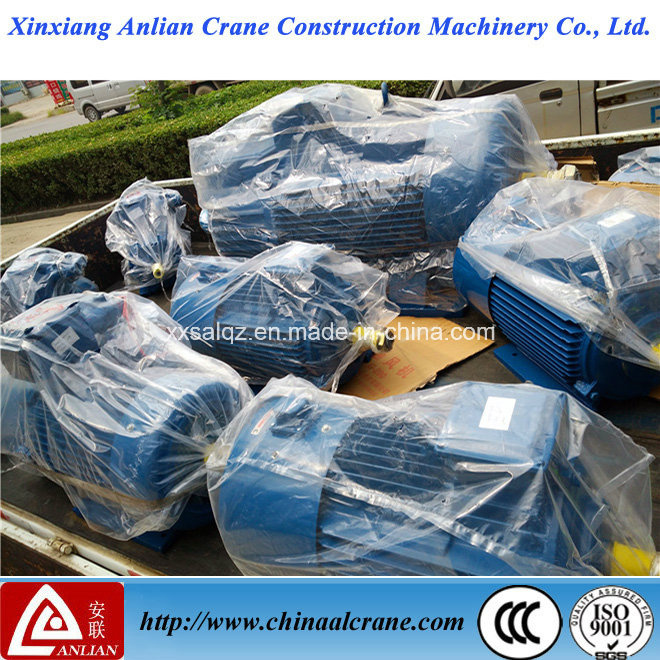 750rpm Electric AC Three Phase Crane Motor