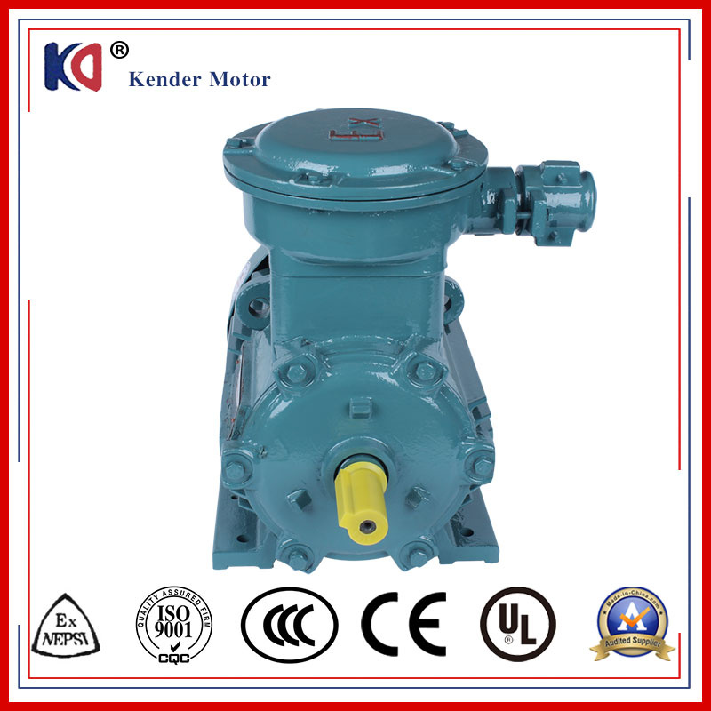 AC Ex-Proof Motor with High Class