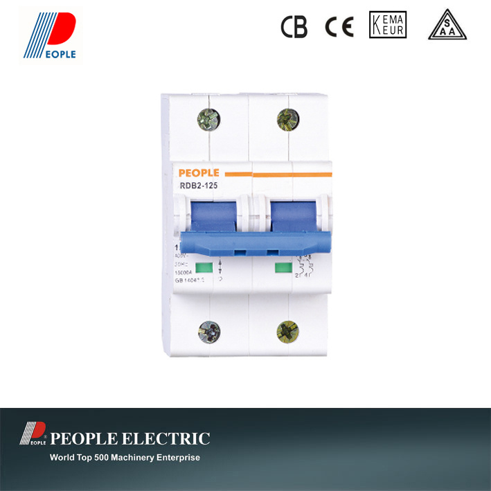 Miniature Circuit Breaker with High Breaking Capacity 15ka Rdb2-125 2p