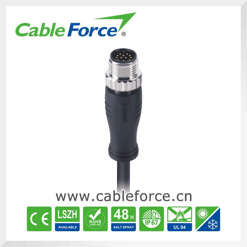 M12 12 Pin Male Straight Shielded Connector with Molded Cable