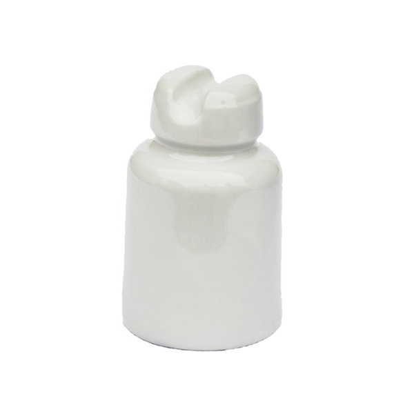 Egypt Market Pin Type Insulator