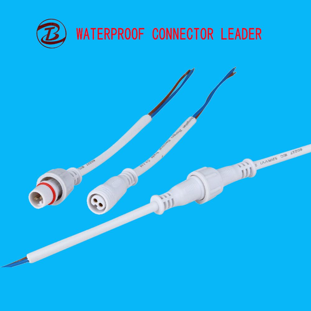 OEM Accept Hot Sale Electronics 2 Pin Auto Connector Cable
