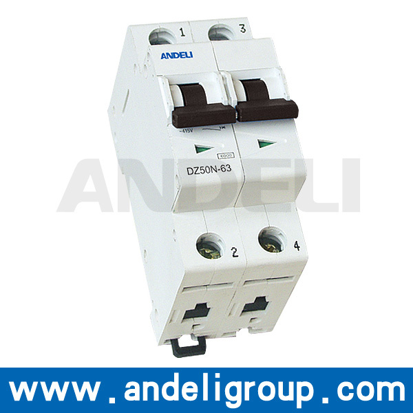 16A 2 Pole MCB Miniature Circuit Breaker (DZ50N-63)