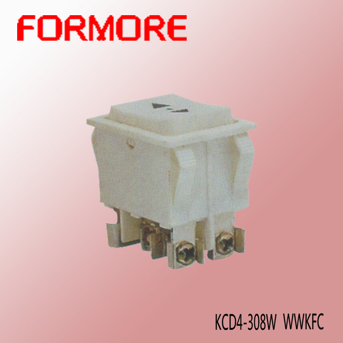 Rocker Switch with Screw for Israel
