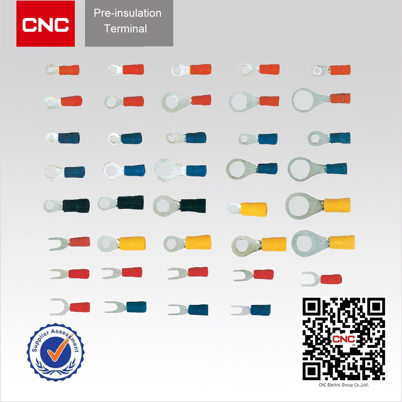 Pre-Insulated & Insulated Ring Terminal