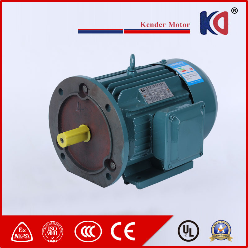 220V/380V/480V Electric AC Induction Three Phase Motor with High Efficient