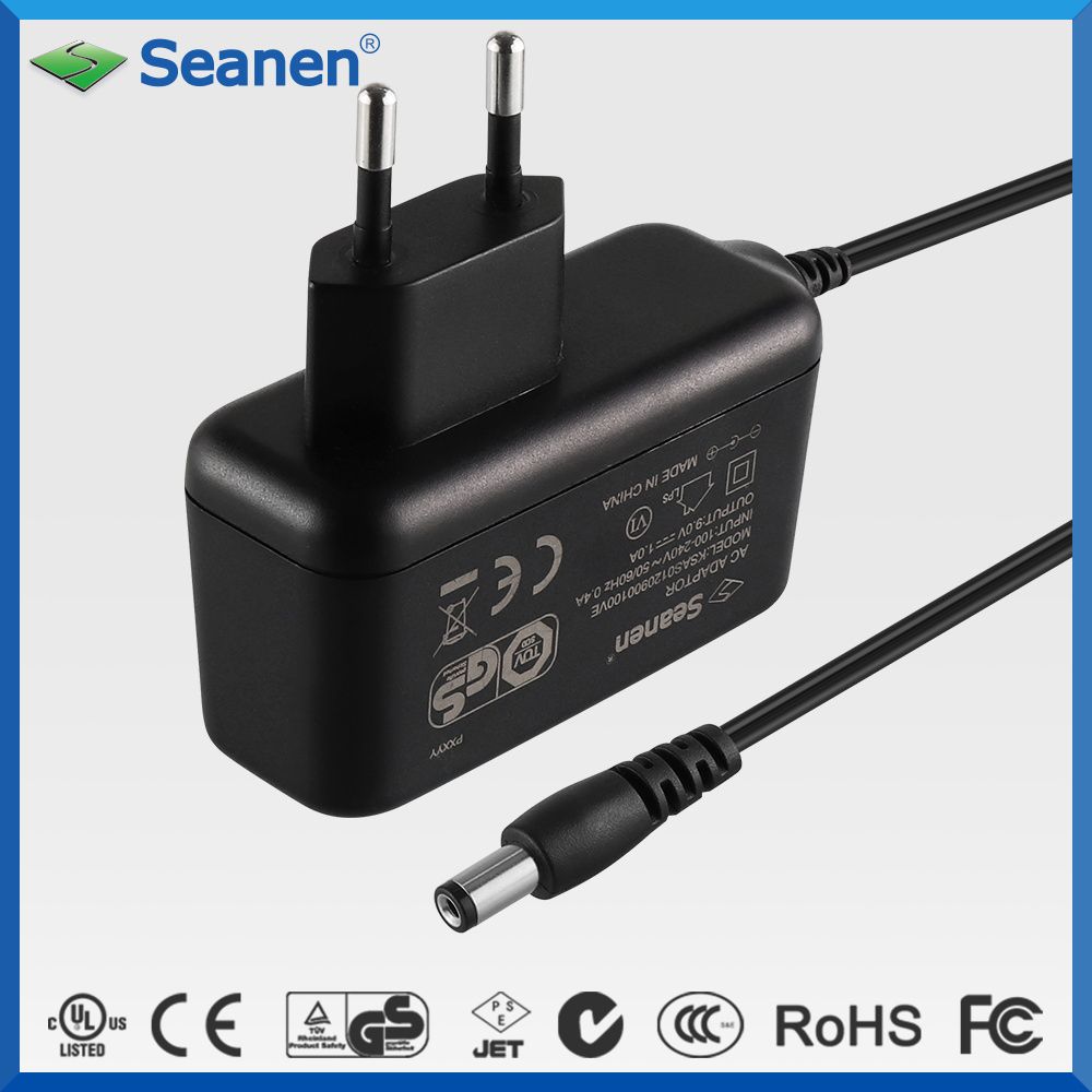 12V 1A DC Full-Bridge Type GS AC Switching Power Adapter
