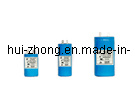 Aluminum Electrlytic Capacitor (HZCD60-002)