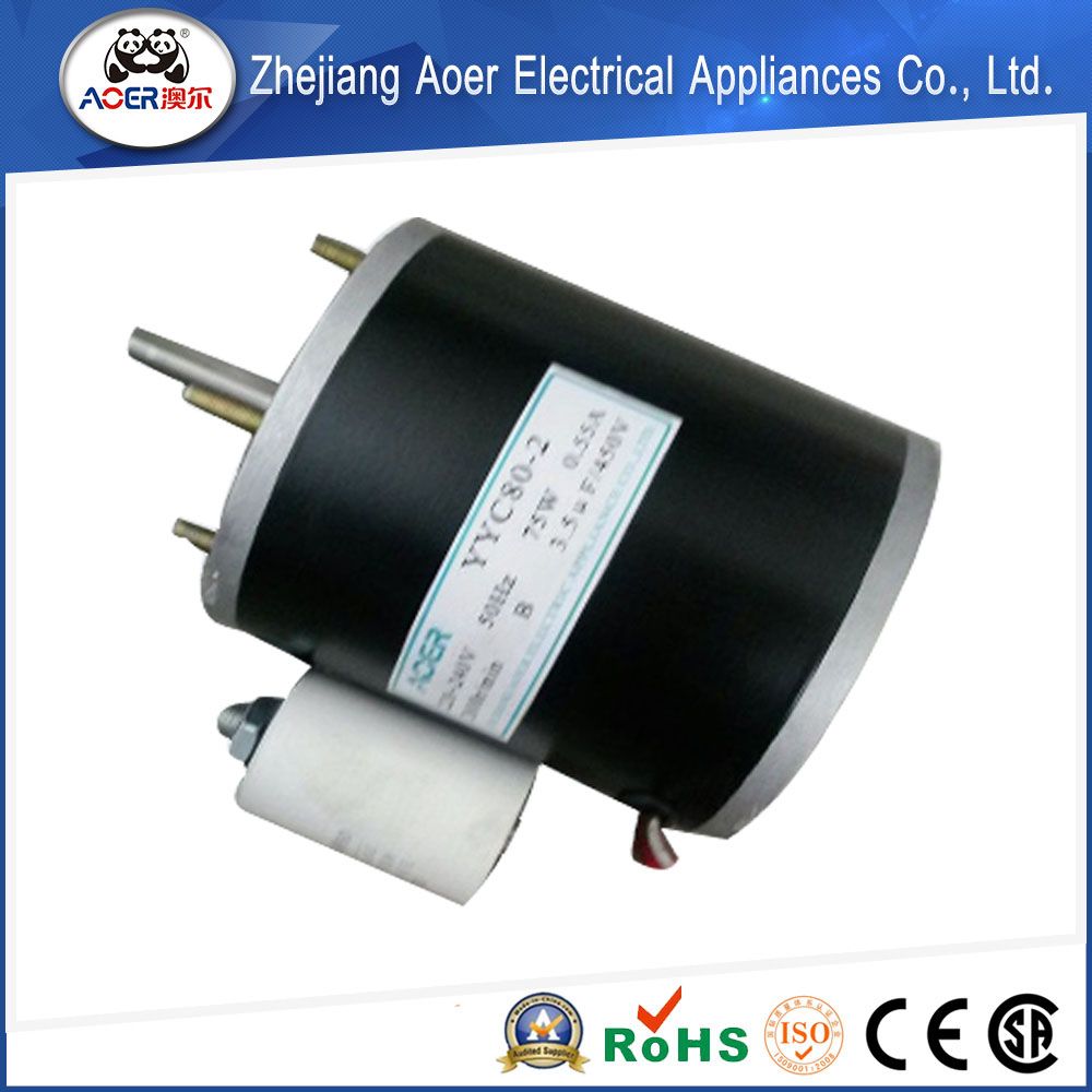 AC Single Phase Asynchronous High Torque High Speed Micro Motors