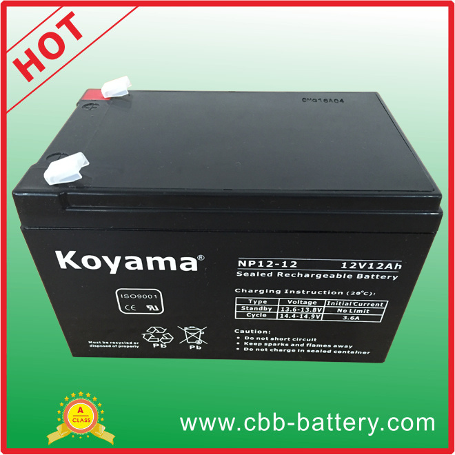12V 12ah Lead Acid AGM Battery for Security, UPS, Surge Protector