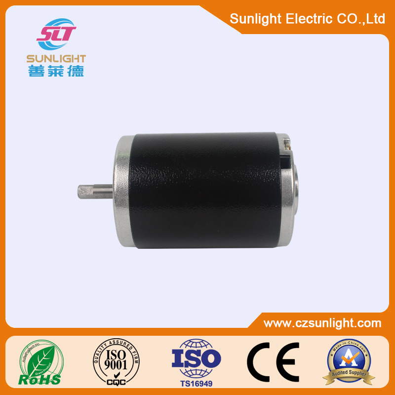 24V DC Motor for Household Aplliances Brush Motor for Massager