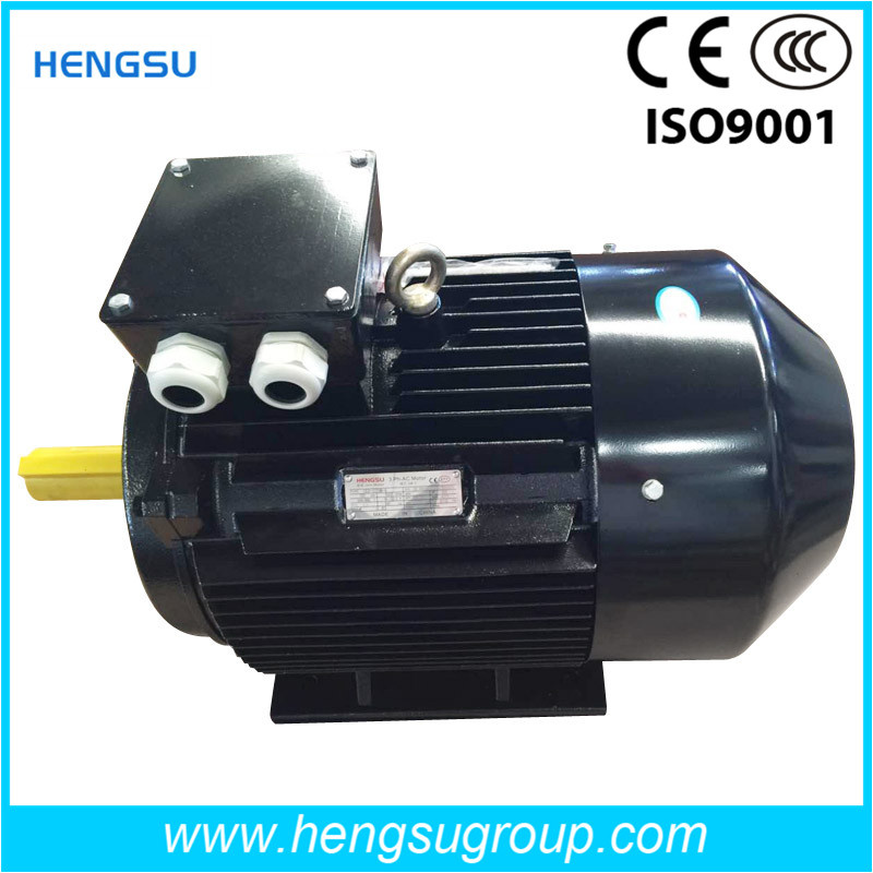 Ye3 Series Three-Phase Cast Iron Induction Electric Motor