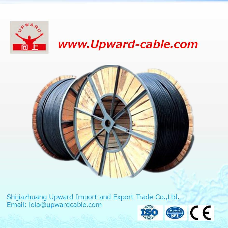 High Voltage XLPE Insulation/PVC Sheath/Copper Electric Power Cable
