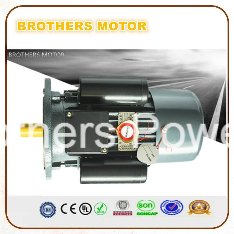 Single Phase 220V Motor for Crusher Machinery