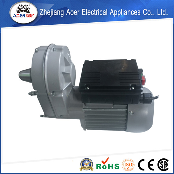 AC Single Phase Geared Induction Electric Motor (grin) Made in China