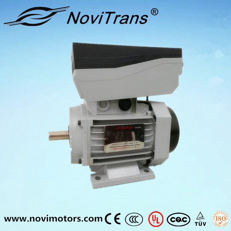 Three Phase Permanent Magnet Synchronous Motor Integrated Servo Motor (YVF-160)