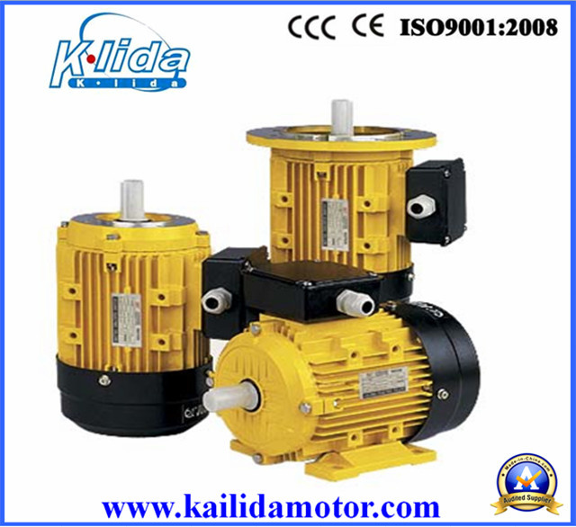 Iec Motor (Y2-180S Three Phase Induction Motor)