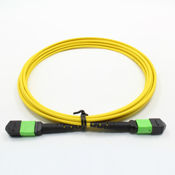 MTP/MPO Singlemode Fiber Optic Cable