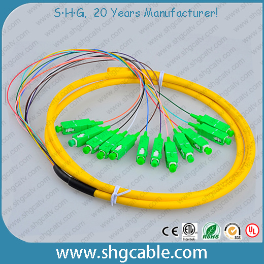 12 Core Sc/APC Single Mode Bunch Optical Fiber Pigtail