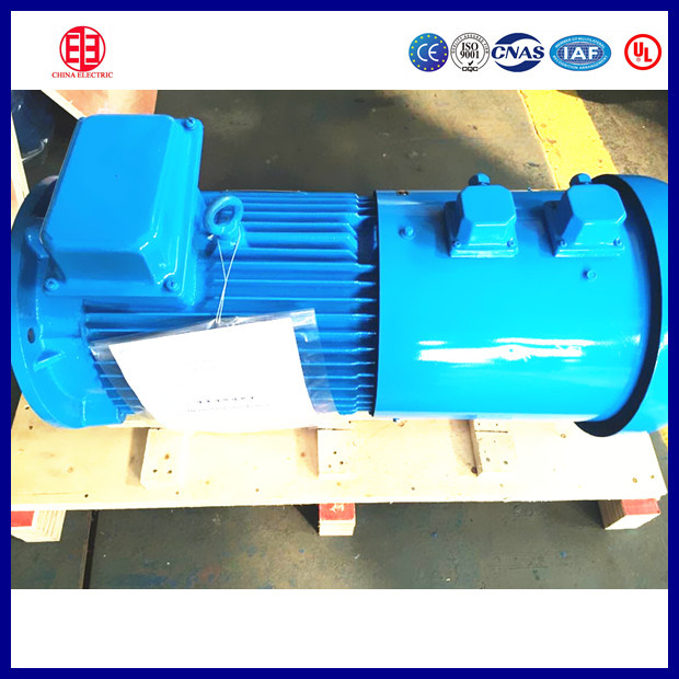 440V AC Motor Three Phase Electric Motor for Crane