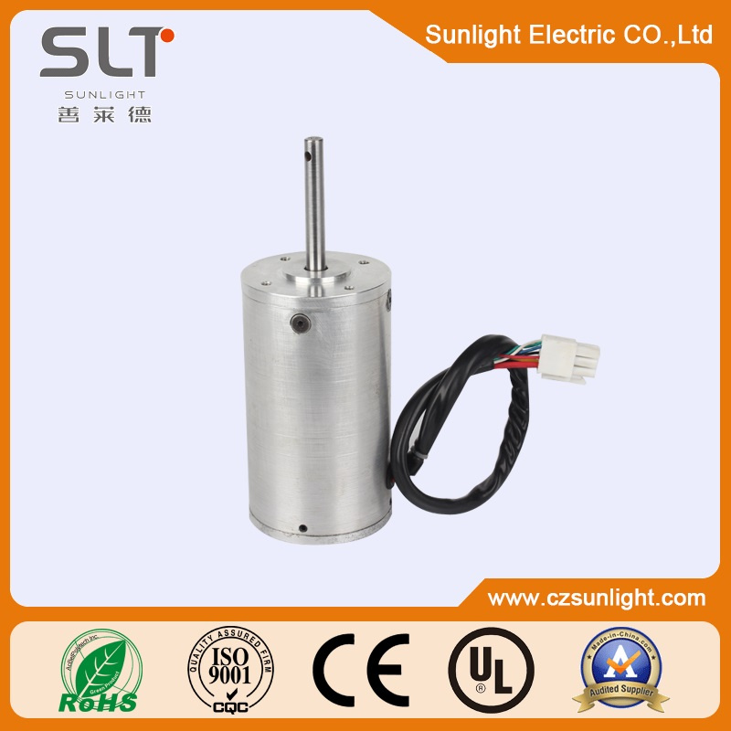 Micro BLDC Brushless DC Motor for Home Appliance