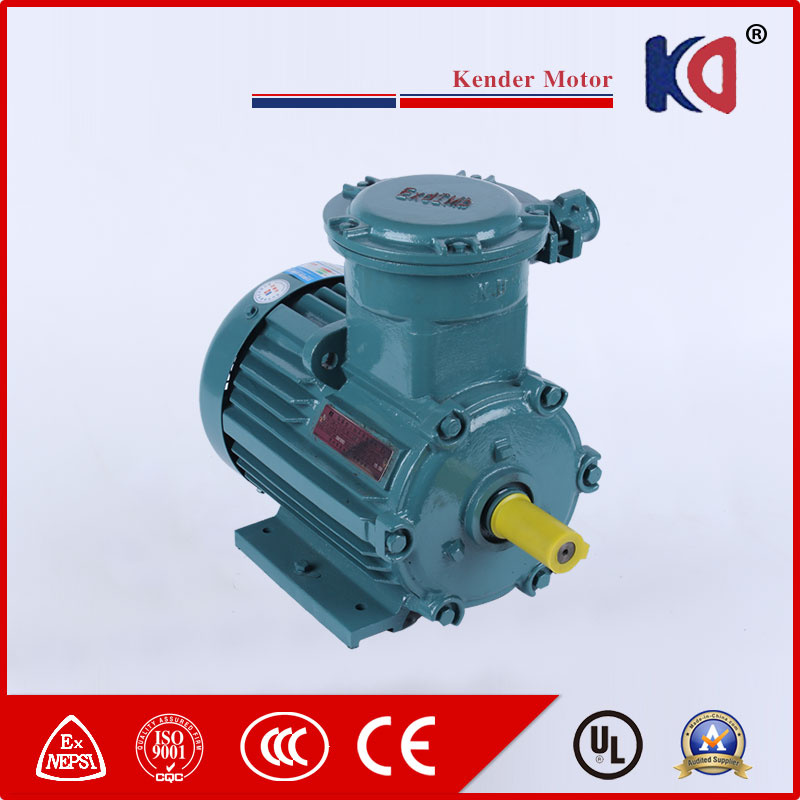 Streamlined Flame-Proof Three-Phase Asynchronous Motors with Wholesale Price