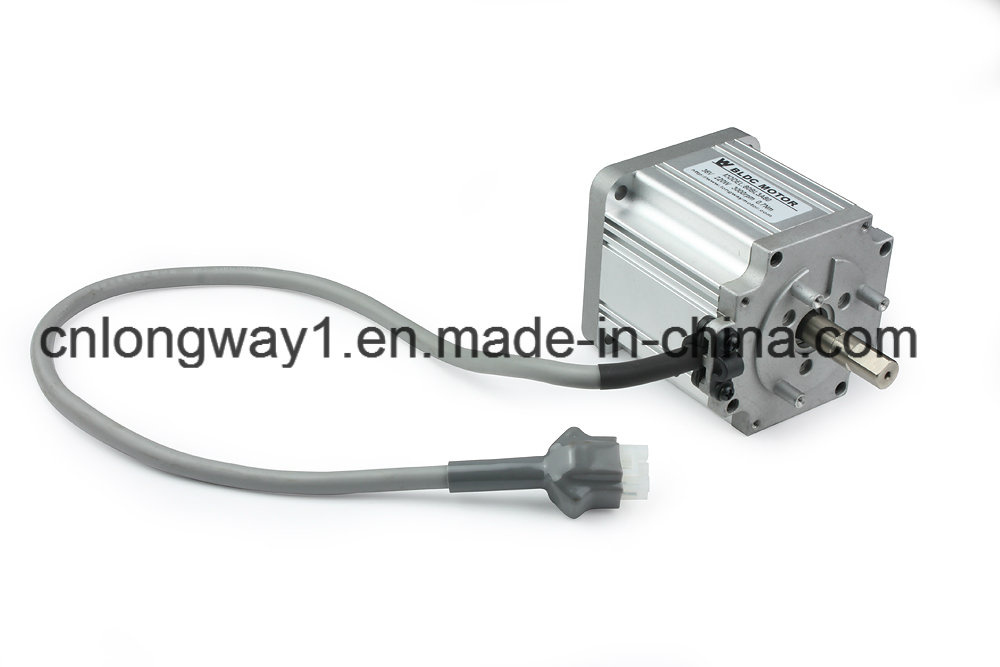 Brushless DC Motor for Machine