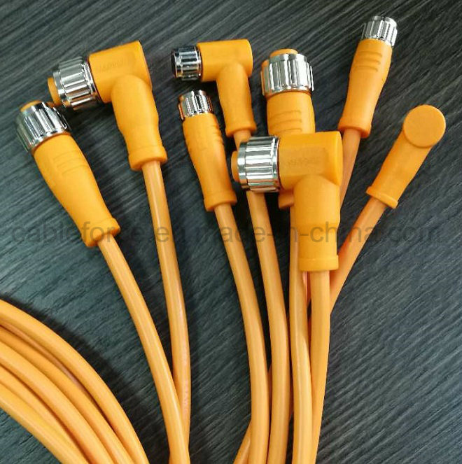 M12 4pin Female Straight Molded Cable Connector Circular Connector with CNC Screw