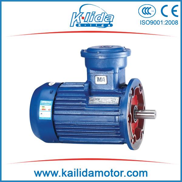 25 HP Three Phase Explosion-Proof Motor with Atex Certificate