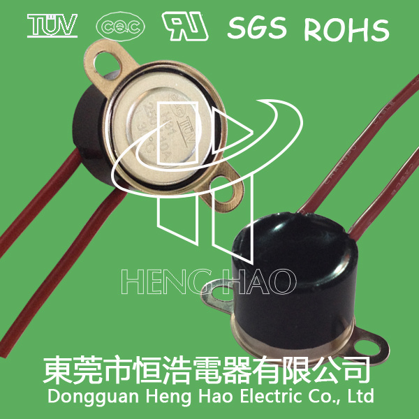 H31 Water Proof Temperature Switch