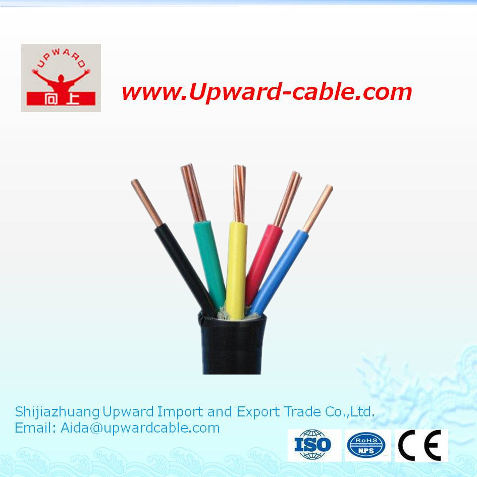 300/500V PVC Sheathed Flexible Cable