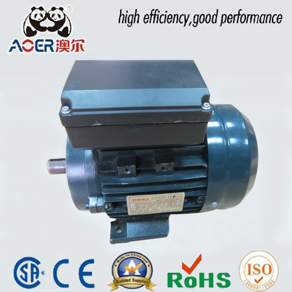 240V AC Single Phase Squirrel Cage Induction Eg Motor