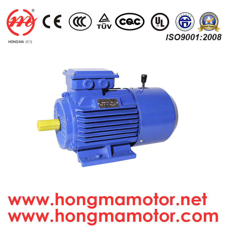 IEC Standard Three Phase Induction Motor with DC Brake (180L-4-22KW)