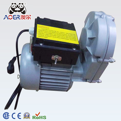AC Single Phase Electric Motor with Reduction Gear 110V