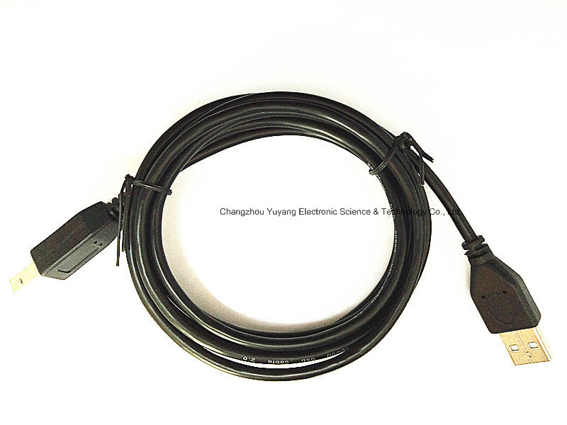 USB 2.0 a Plug to B Plug for High Speed Cable