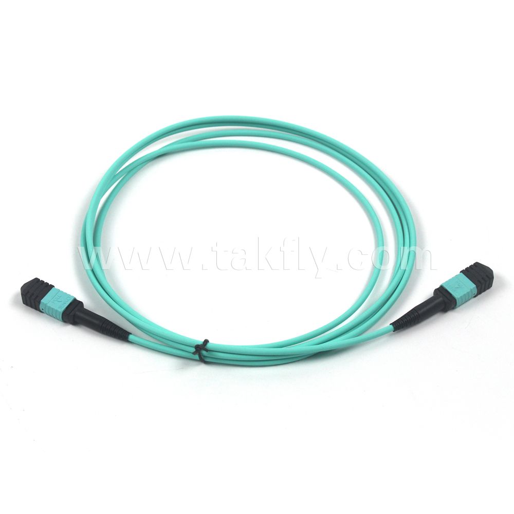 MPO-MPO MTP-MTP 8/24 Cores Om3 Jumper