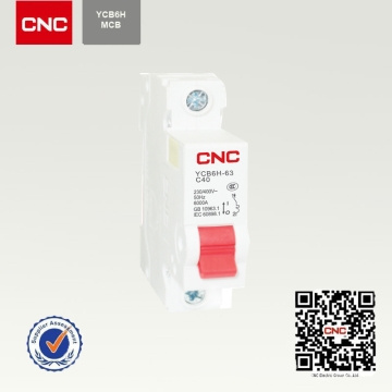 High Capacity Compatitive Price Ycb6h-63 MCB