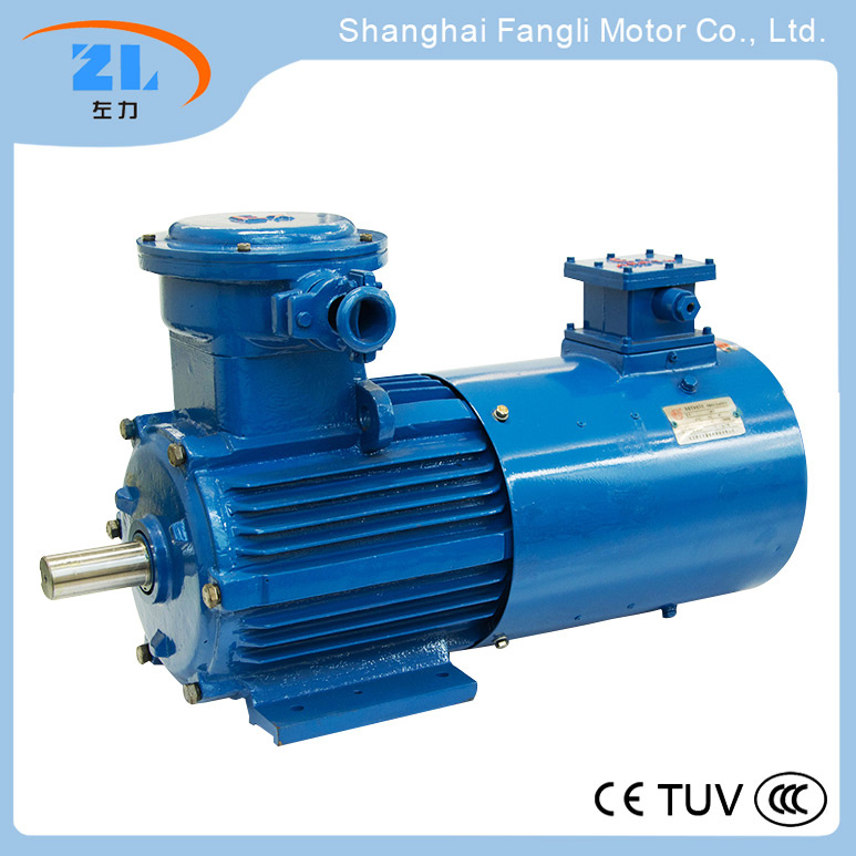Ybvp2/Ybbp Series Variable Frequency Adjustable-Speed Converter-Fed Flameproof Three Phase Asynchronous Motors