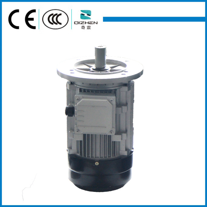 Aluminium Body Three Phase Motor