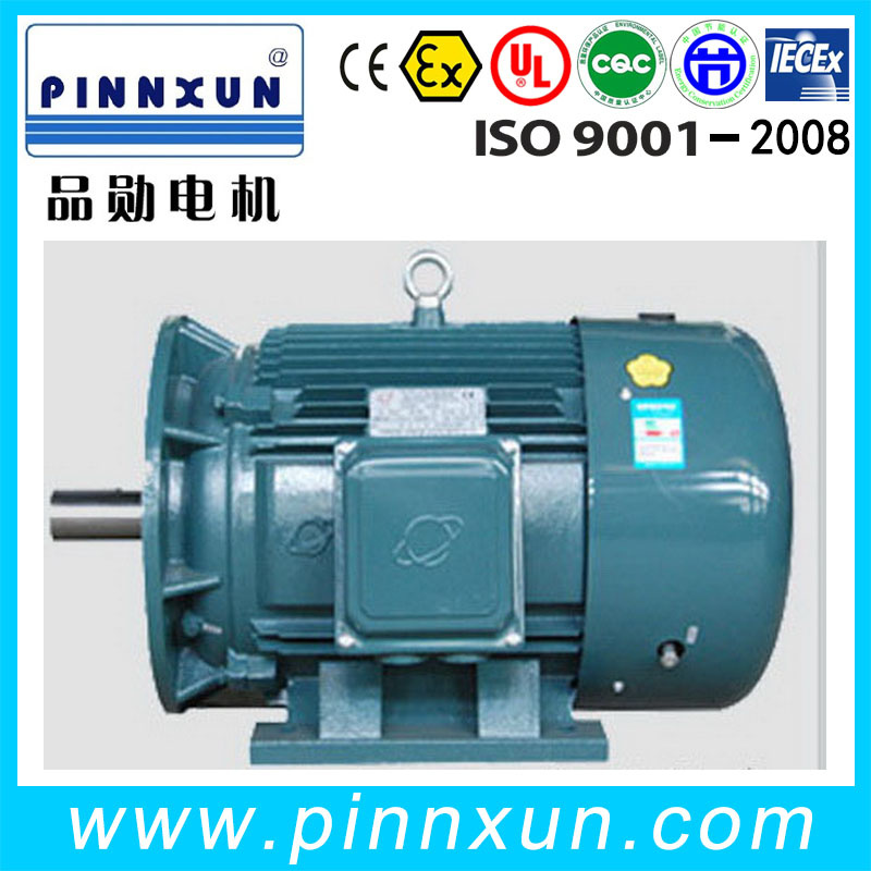 Three Phase AC Motor 130kw for Gulleting Machine
