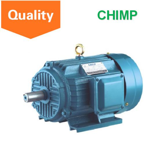Y Series Three Phase Induction Motor