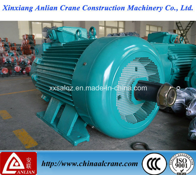 Big Frame Electric Crane Used AC Motor
