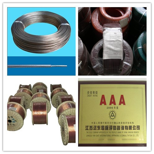 VDE FEP Teflon Twin Wire
