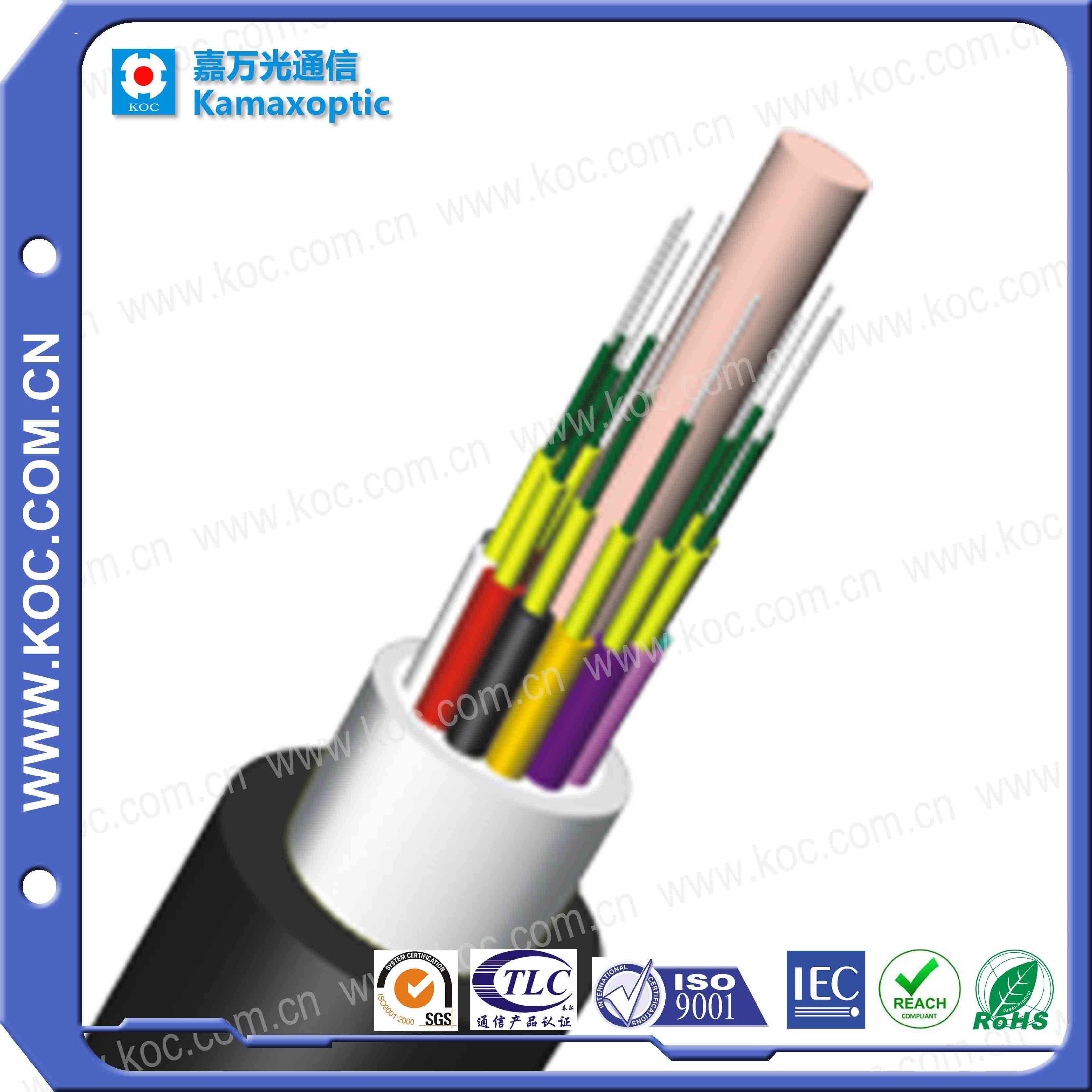 10core Optical Fiber Waterproof Pigtail Cable II